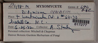 Image Associated With the Occurence